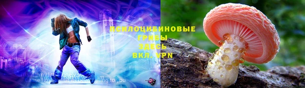 стаф Майский