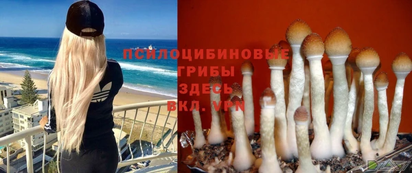 стаф Майский