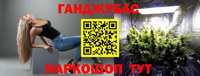 эйфоретик Кингисепп