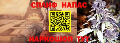 стаф Кимры