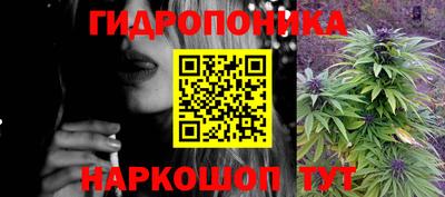 стаф Кимры