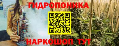 эйфоретик Кингисепп