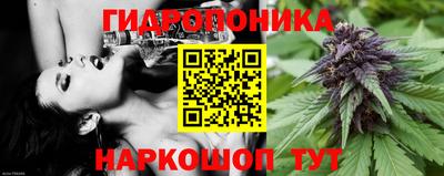 трава Кинель