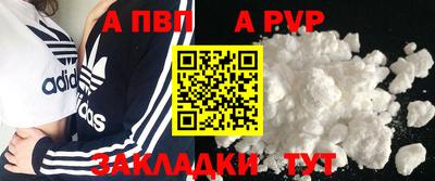 эйфоретик Кингисепп