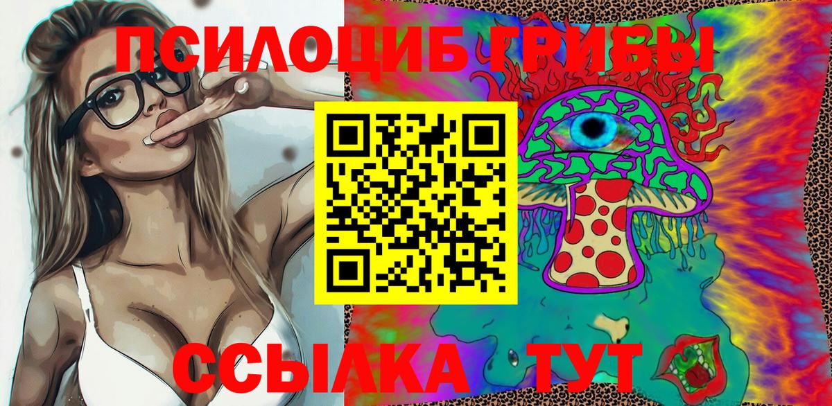 Псилоцибиновые грибы GOLDEN TEACHER  Сосновый Бор  Псилоцибиновые грибы ЛСД 