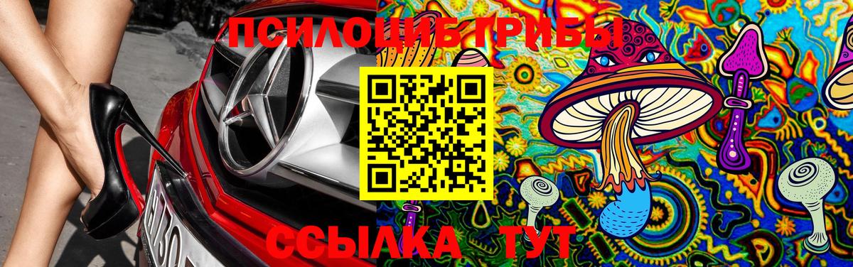 Галлюциногенные грибы GOLDEN TEACHER Сосновый Бор