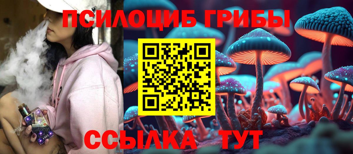 Галлюциногенные грибы GOLDEN TEACHER Сосновый Бор