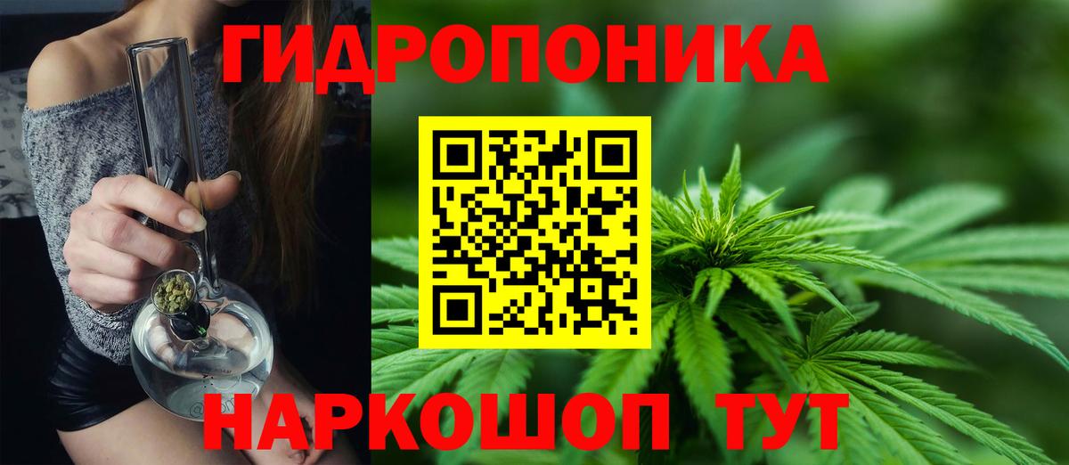 Бошки марихуана индика Сосновый Бор